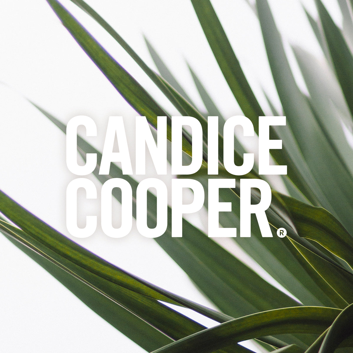 Candice Cooper